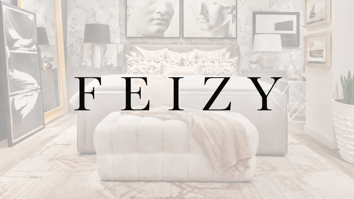 feizy-hover